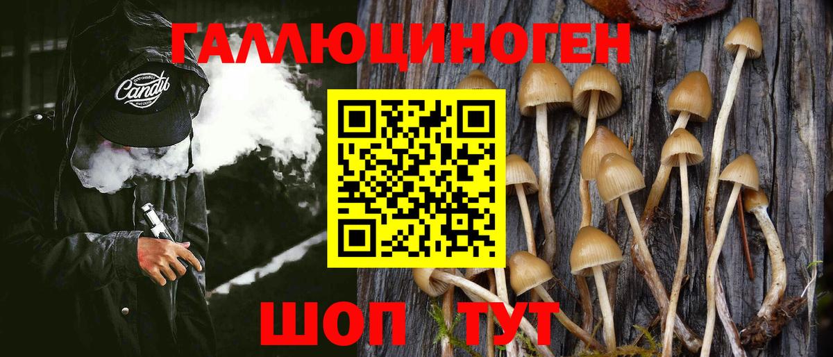 Галлюциногенные грибы GOLDEN TEACHER  Псилоцибиновые грибы Magic Shrooms  Вход с VPN  Бутурлиновка 